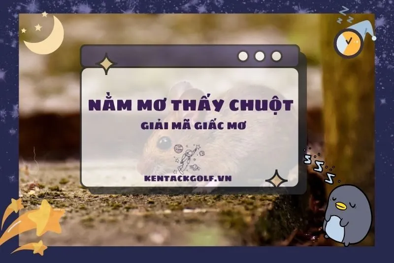 Nằm Mơ Thấy Chuột: Giải Mã Điềm Báo Và Ý Nghĩa Tâm Linh 2025