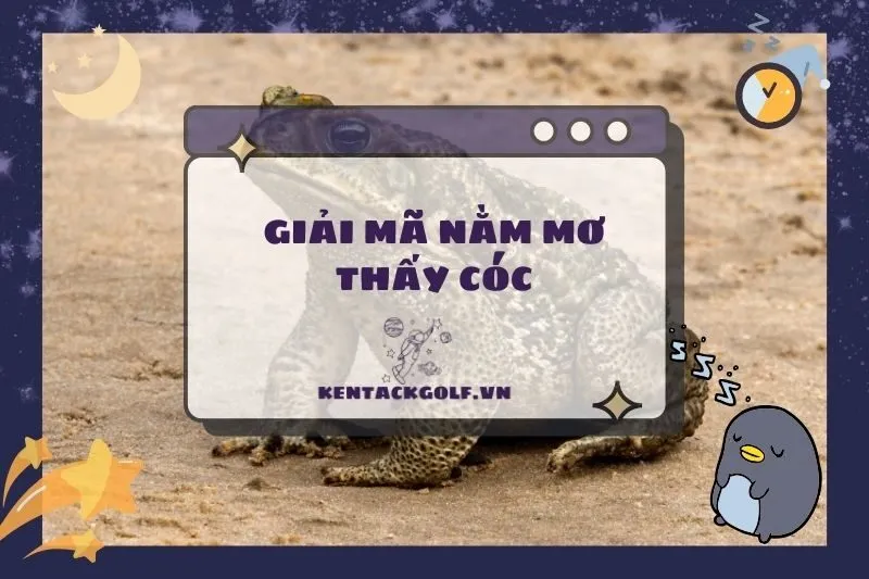 Nằm Mơ Thấy Cóc: Điềm Báo Gì? Con Số May Mắn và Ý Nghĩa Từ Giấc Mơ 2025