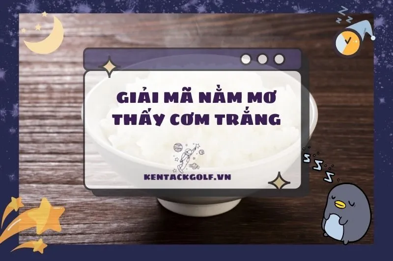 Nằm mơ thấy cơm trắng: Ý nghĩa, con số may mắn và điềm báo 2025