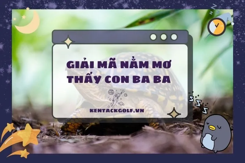 Nằm Mơ Thấy Con Ba Ba: Giải Mã Điềm Báo, Ý Nghĩa và Con Số May Mắn 2025