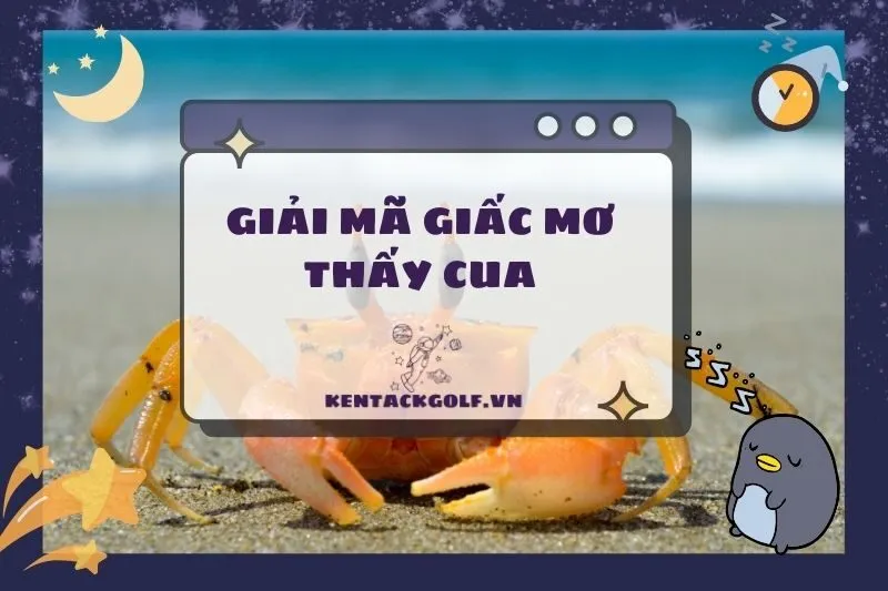 Nằm Mơ Thấy Cua: Ý Nghĩa, Điềm Báo, Số May Mắn 2025