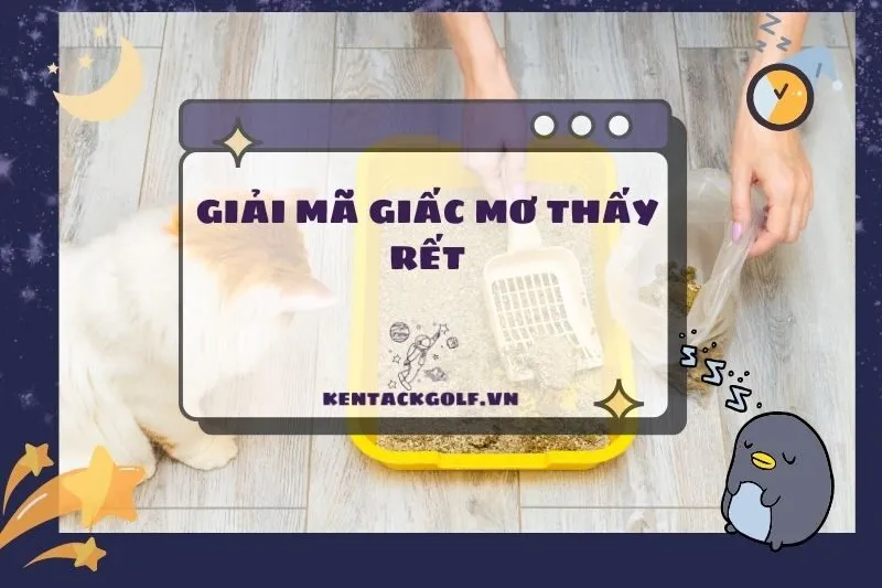 Nằm mơ thấy cứt báo hiệu gì? Giải mã ý nghĩa chi tiết 2025