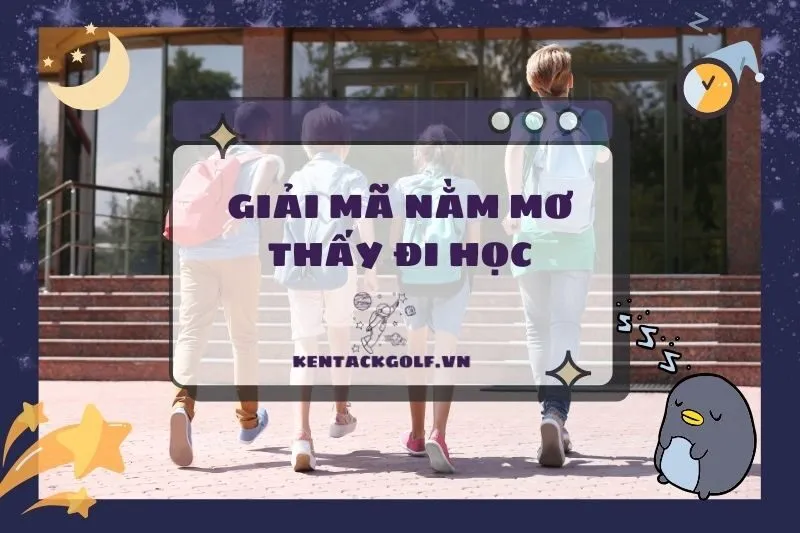 Nằm mơ thấy đi học có ý nghĩa gì? Giải mã và điềm báo thú vị 2025