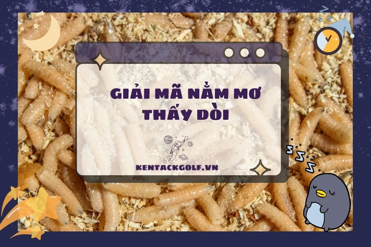 Nằm mơ thấy dòi: Ý nghĩa, điềm báo và con số may mắn 2025