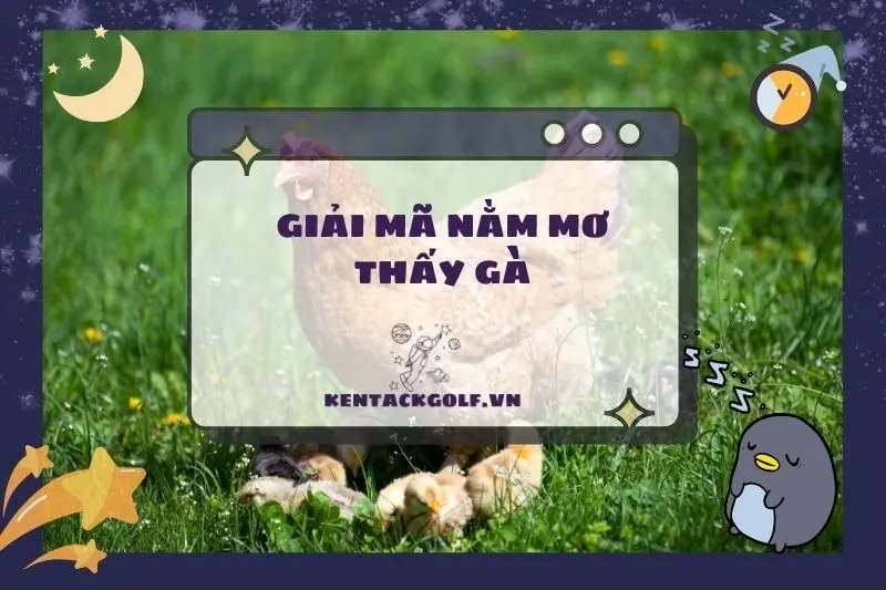 Nằm mơ thấy gà: Giải mã ý nghĩa và con số may mắn 2025