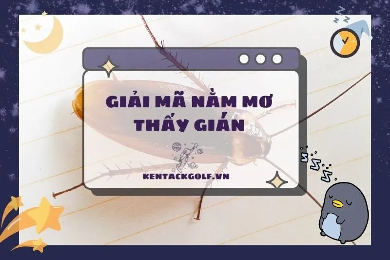 Nằm mơ thấy gián: Điềm báo gì? Ý nghĩa và con số may mắn 2025