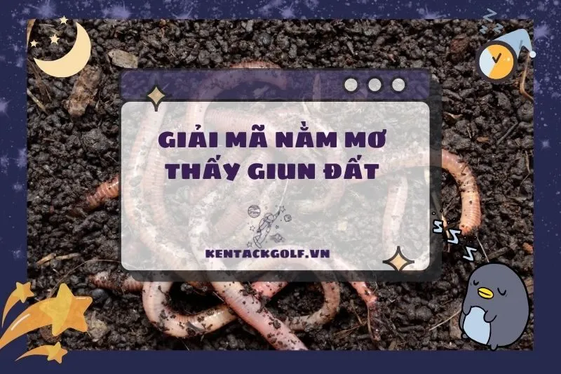 Nằm Mơ Thấy Giun Đất: Giải Mã Ý Nghĩa, Sức Khỏe Và Con Số May Mắn 2025