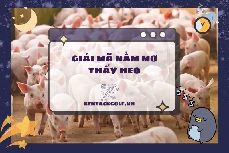 Nằm mơ thấy heo: Điềm báo, ý nghĩa và con số may mắn 2025