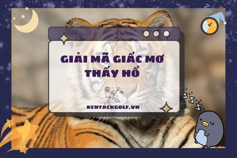 Nằm Mơ Thấy Hổ: Ý Nghĩa Tốt Hay Xấu? Giải Mã Các Tình Huống 2025