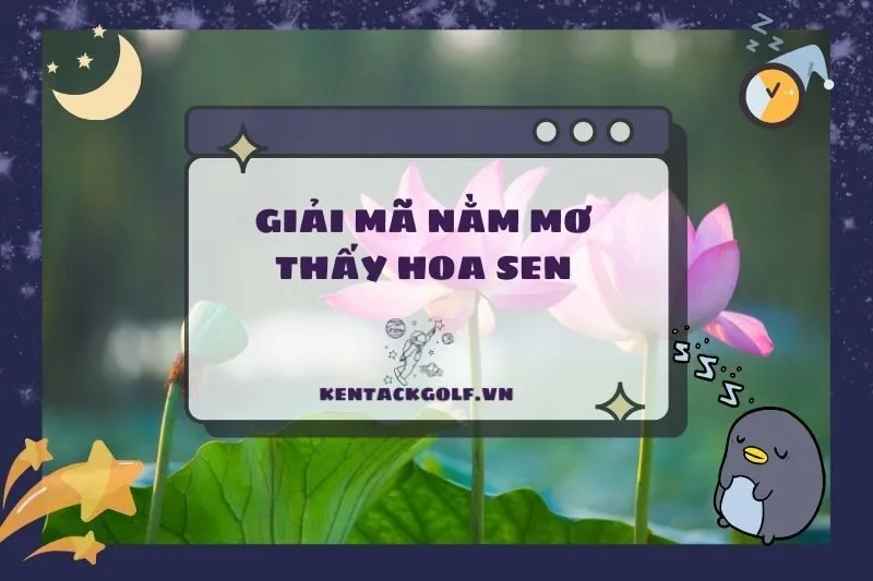 Nằm Mơ Thấy Hoa Sen: Giải Mã Điềm Báo và Con Số May Mắn 2025