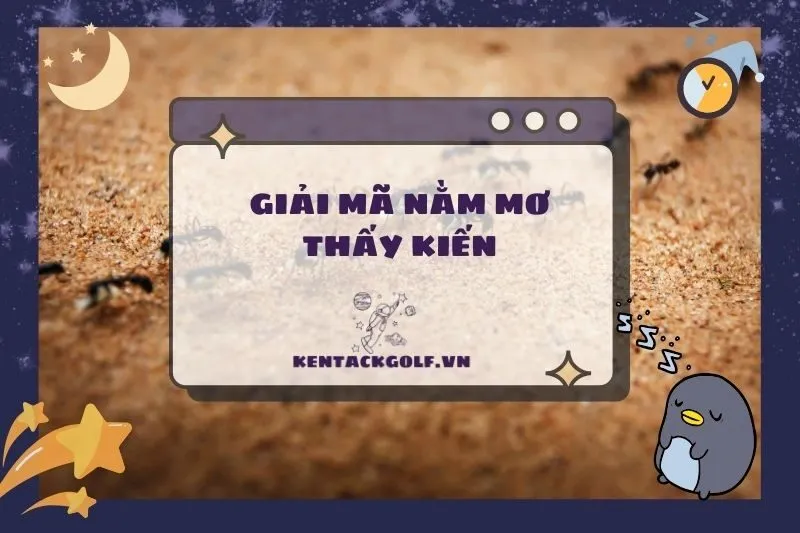 Nằm mơ thấy kiến: Ý nghĩa, điềm báo và con số may mắn 2025