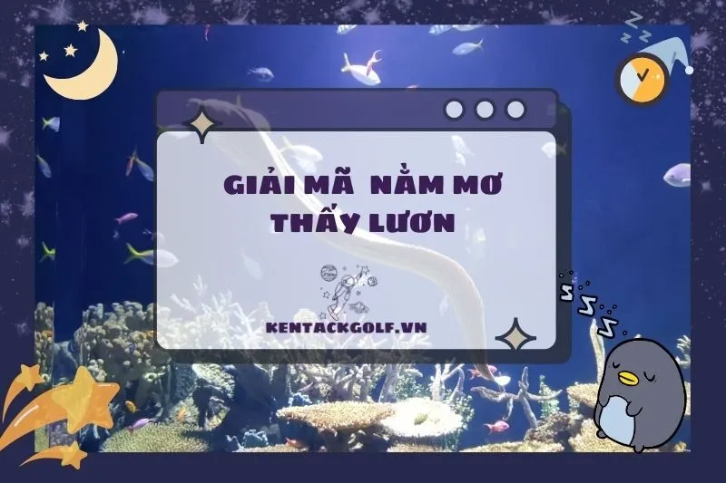 Nằm mơ thấy lươn: Giải mã ý nghĩa, điềm báo và con số may mắn 2025