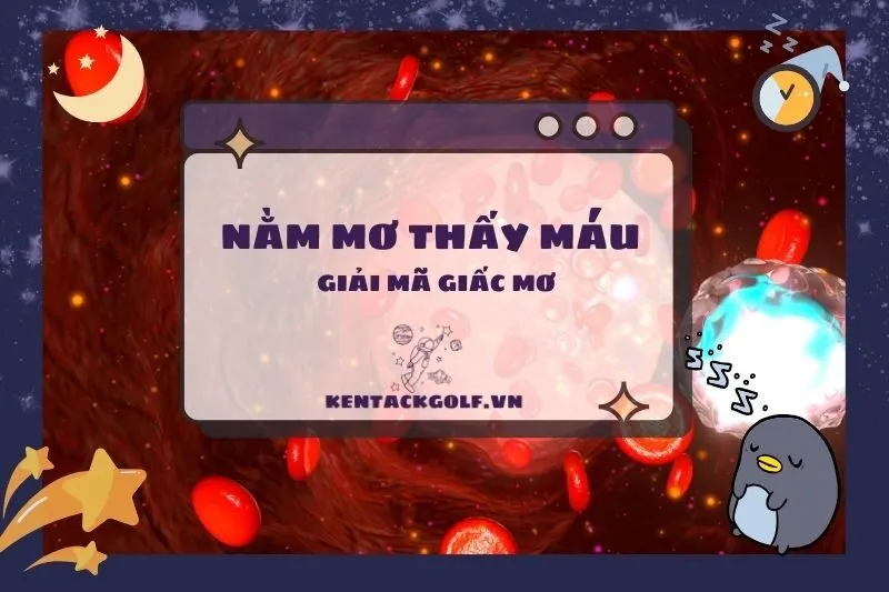 Nằm Mơ Thấy Máu: Giải Mã Điềm Báo Và Ý Nghĩa Chi Tiết 2025