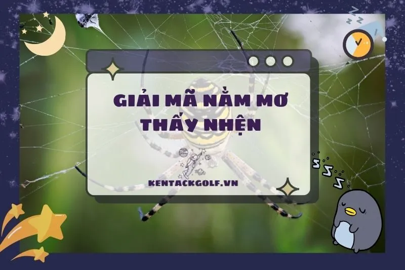 Nằm mơ thấy nhện: Ý nghĩa, tài chính, tình cảm và con số may mắn 2025