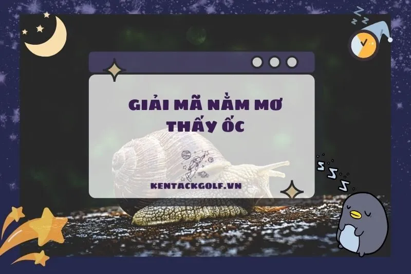 Nằm mơ thấy ốc: Điềm báo, ý nghĩa và con số may mắn 2025