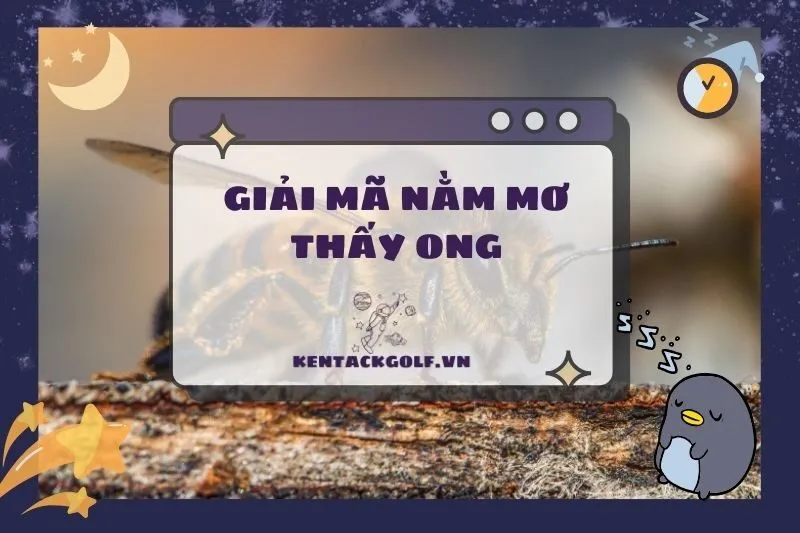 Nằm Mơ Thấy Ong: Ý Nghĩa, Điềm Báo Và Con Số May Mắn 2025