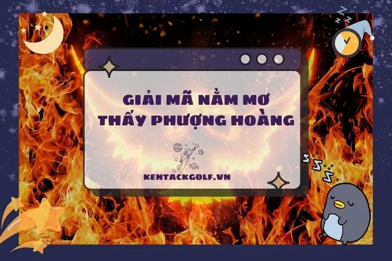 Nằm Mơ Thấy Phượng Hoàng: Ý Nghĩa, Điềm Báo Và Phong Thủy 2025