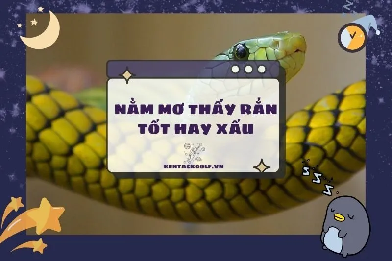 Nằm mơ thấy rắn: Điềm báo, ý nghĩa và con số may mắn 2025