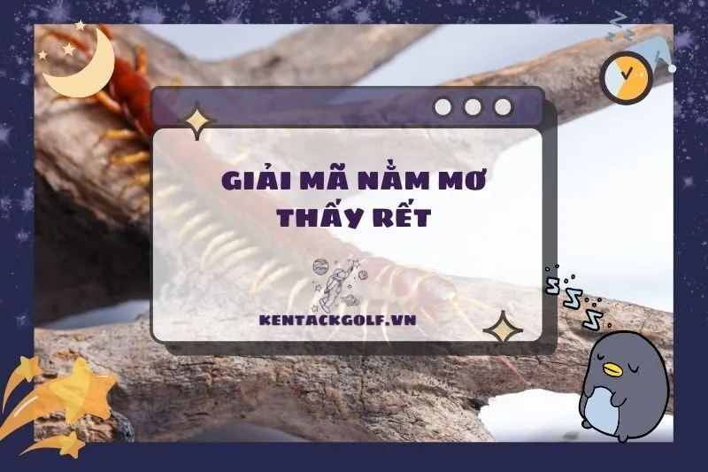 Nằm mơ thấy rết: Giải mã điềm báo, ý nghĩa và con số may mắn 2025