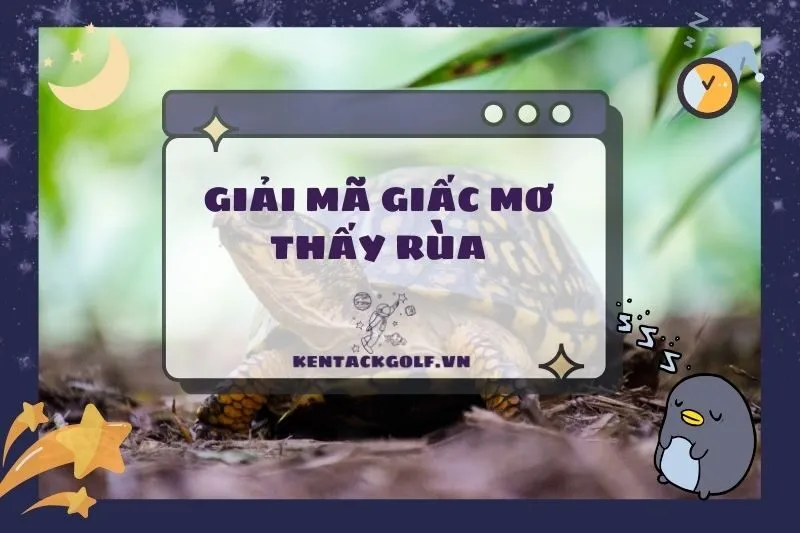 Nằm mơ thấy rùa: Bí ẩn và ý nghĩa không phải ai cũng biết 2025