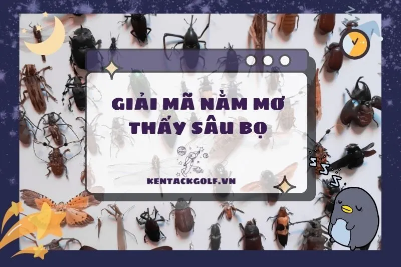 Nằm mơ thấy sâu bọ: Giải mã ý nghĩa và điềm báo chính xác 2025