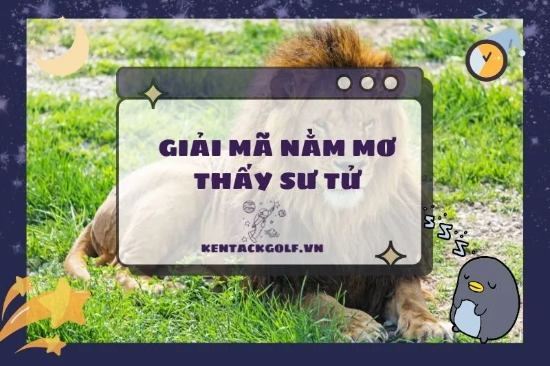 Nằm mơ thấy sư tử: Giải mã ý nghĩa và con số may mắn 2025