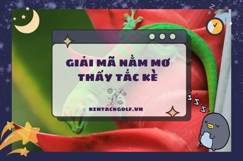 Nằm Mơ Thấy Tắc Kè: Giải Mã Điềm Báo Và Ý Nghĩa 2025