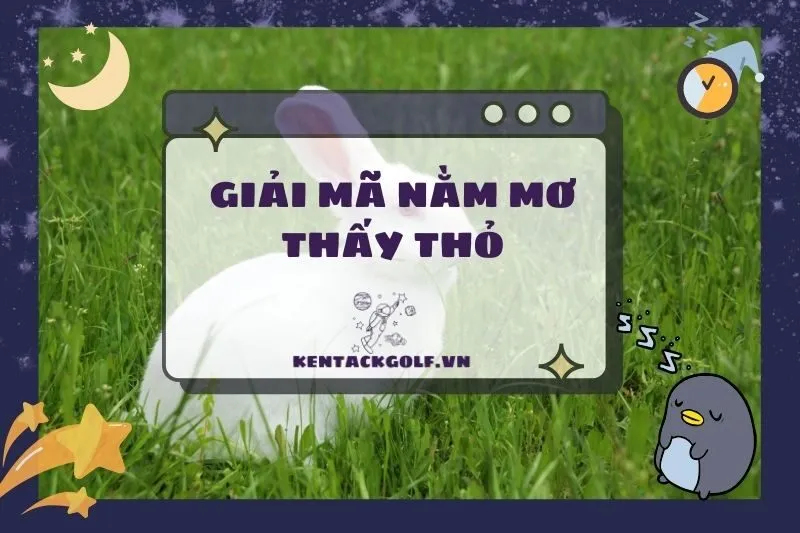 Nằm mơ thấy thỏ: Điềm báo, ý nghĩa và con số may mắn 2025
