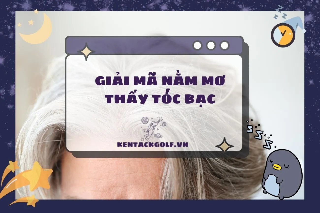 Nằm Mơ Thấy Tóc Bạc: Giải Mã Điềm Báo Sức Khỏe Và Tình Cảm 2025