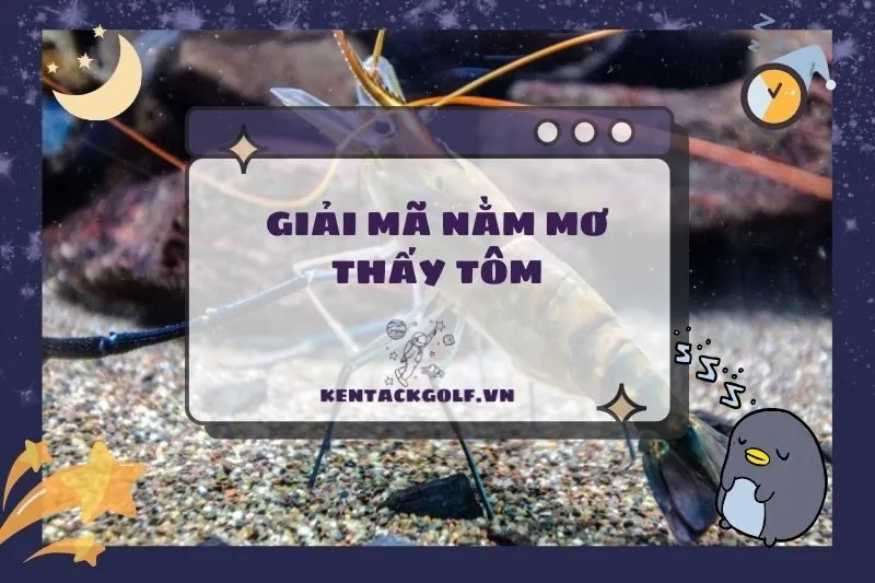 Nằm mơ thấy tôm: Điềm báo và ý nghĩa bạn cần biết 2025