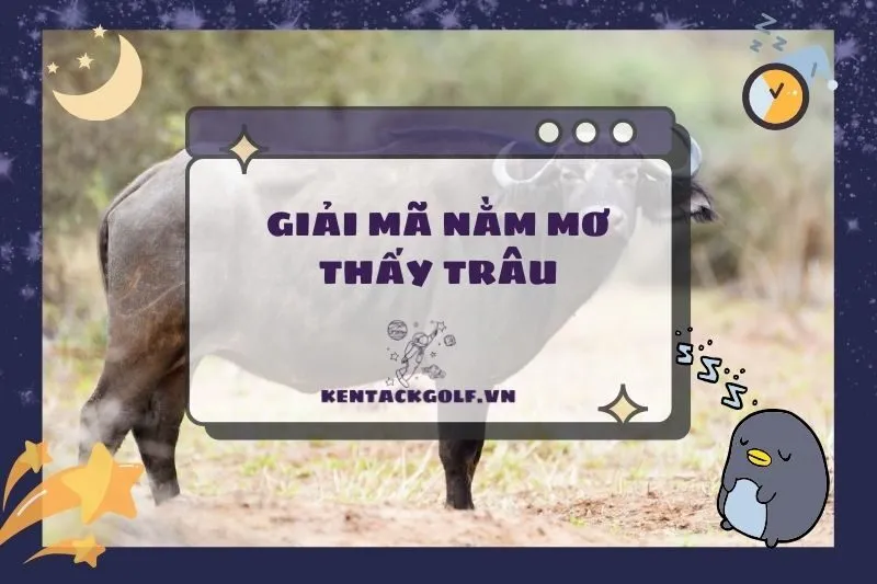 Nằm mơ thấy trâu: Ý nghĩa, điềm báo và con số may mắn 2025