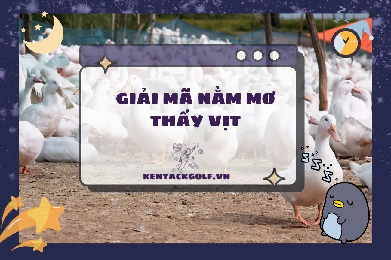 Nằm Mơ Thấy Vịt Là Điềm Gì? Giải Mã Ý Nghĩa Và Con Số May Mắn 2025