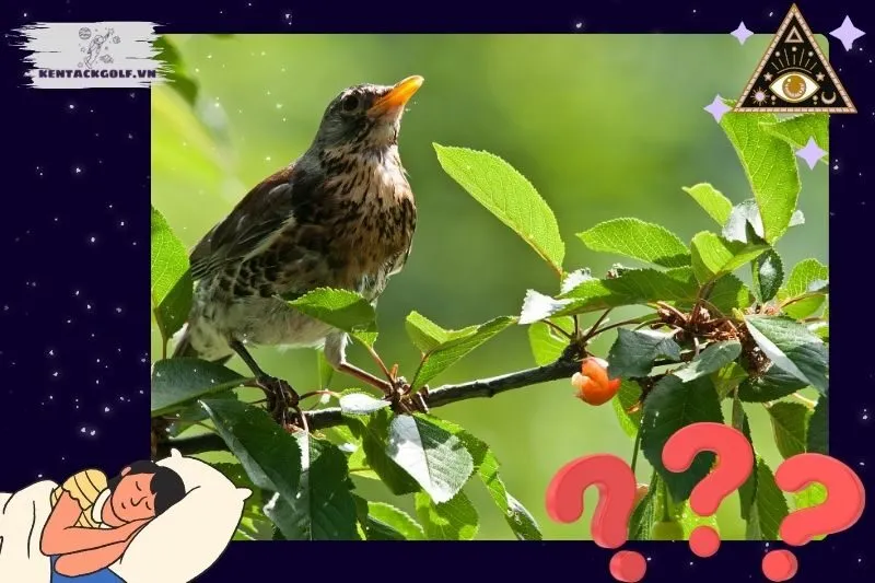 Những điềm báo tốt khi nằm mơ thấy chim