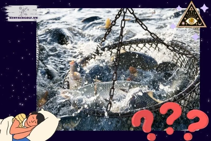 Những giấc mơ tương tự liên quan đến cá và cách giải mã