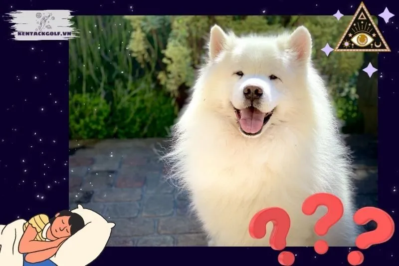 Những tình huống đặc biệt khi nằm mơ thấy chó