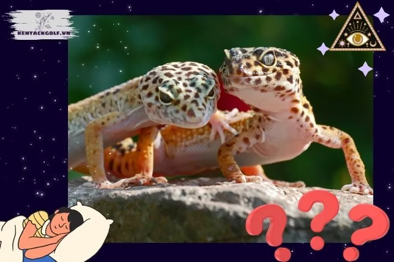 Những Tình Huống Đặc Biệt Khi Nằm Mơ Thấy Tắc Kè