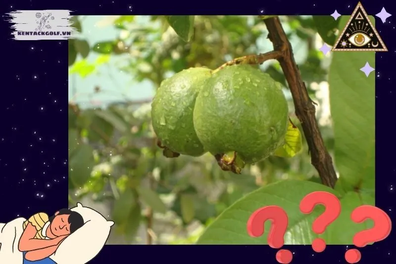 Những Tình Huống Mơ Thấy Quả Ổi