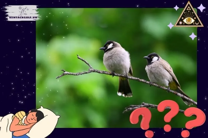 Ý nghĩa chi tiết của việc nằm mơ thấy chim