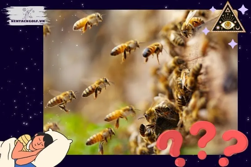 Ý nghĩa chung của giấc mơ thấy ong