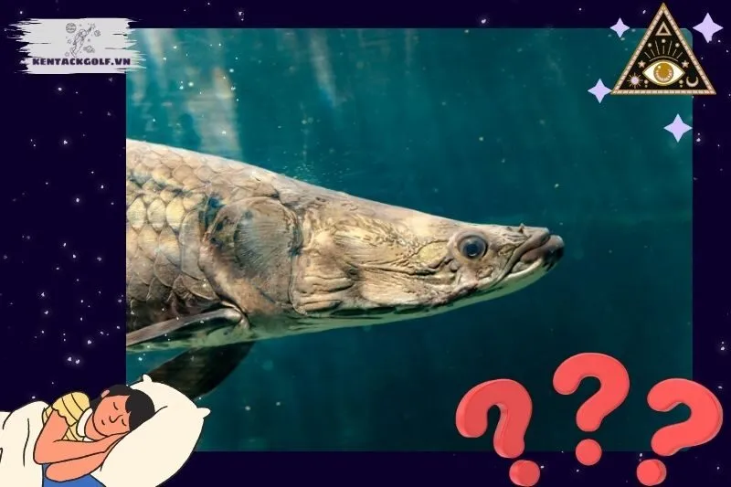 Ý Nghĩa Cụ Thể Của Giấc Mơ Thấy Cá Hải Tượng