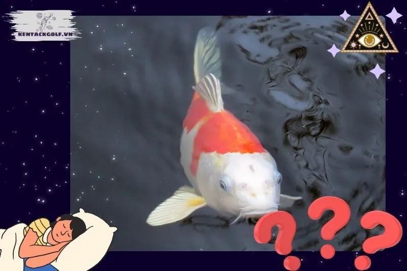 Ý nghĩa của giấc mơ thấy cá chép
