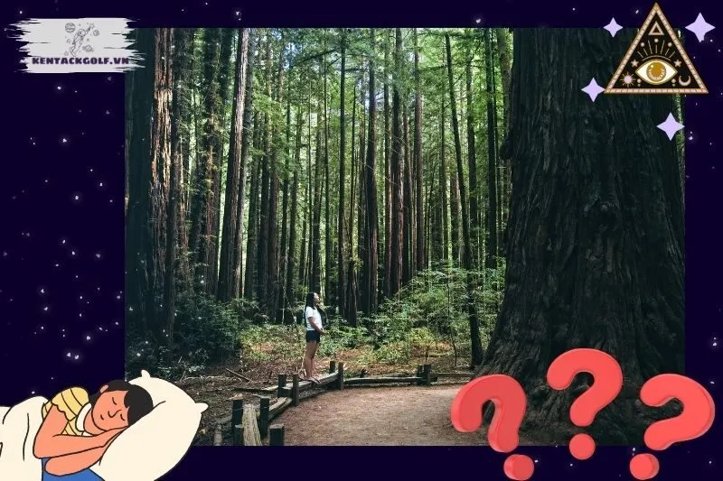 Ý nghĩa của giấc mơ thấy đi lạc