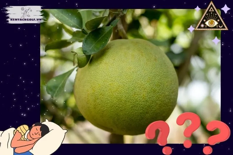 Ý nghĩa của giấc mơ thấy quả bưởi