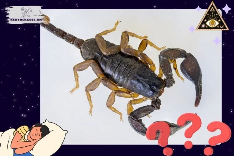 Ý nghĩa của việc nằm mơ thấy bò cạp là gì?