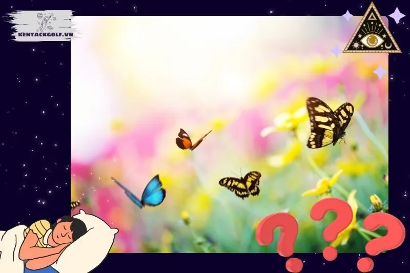Ý nghĩa của việc nằm mơ thấy bướm