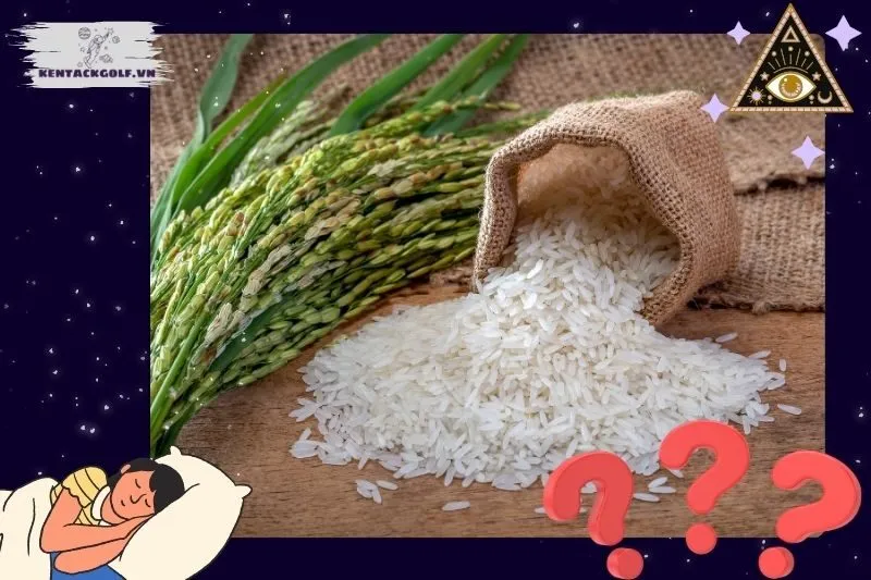 Ý nghĩa của việc nằm mơ thấy gạo