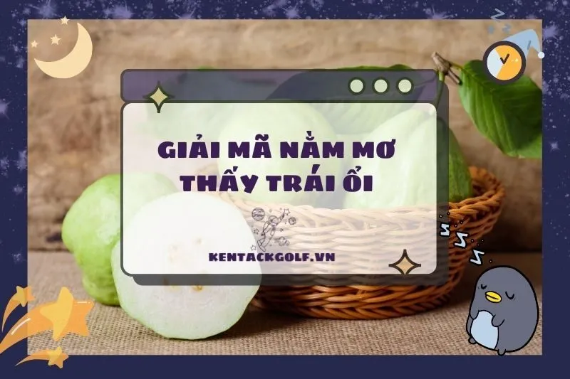 Ý Nghĩa Giấc Mơ Nằm Mơ Thấy Trái Ổi: Điềm Báo Tốt Hay Xấu 2025