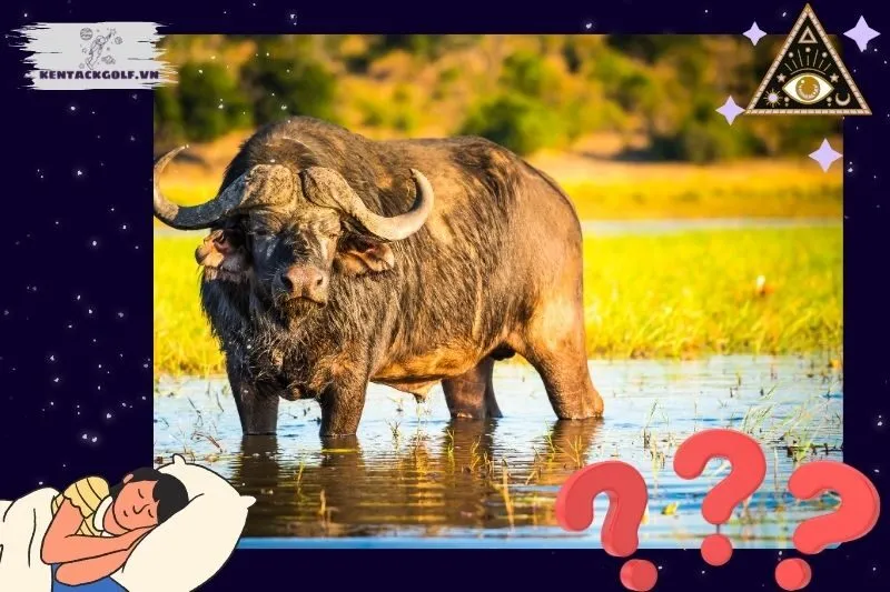 Ý nghĩa giấc mơ nằm mơ thấy trâu