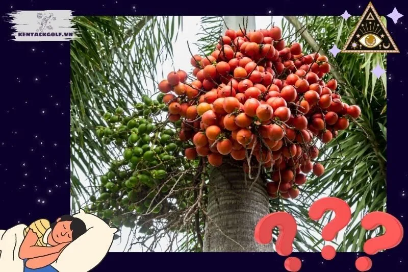 Ý nghĩa giấc mơ thấy buồng cau và thông điệp ẩn sau