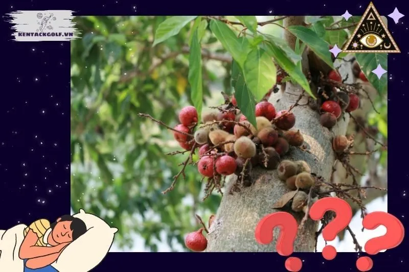 Ý Nghĩa Giấc Mơ Thấy Cây Sung